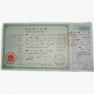 出生证明翻译